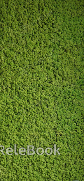 Lush, verdant scene of various green plants with broad leaves, thriving under a natural sunlight, creating a tranquil and vibrant botanical atmosphere.