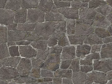 Stone Paving 3d model
