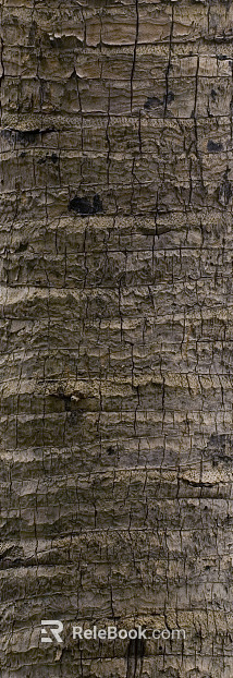bark texture