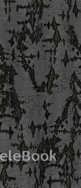 bark texture
