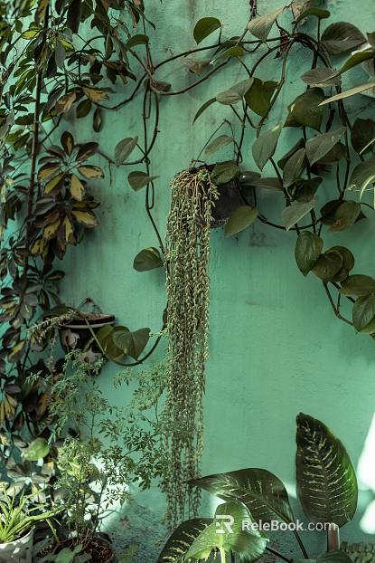 Plants texture