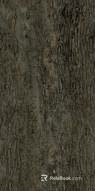 bark texture