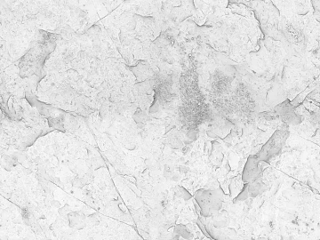 Black and White Bump texture (ID:ffaeg55658)