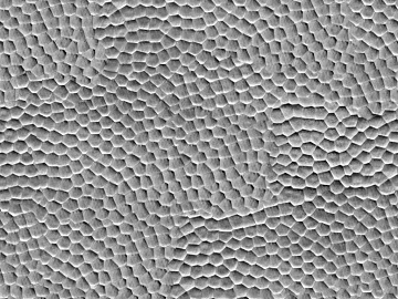 Grey coarse grain leather soft and hard bag fabric 3d model