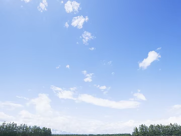 Wild Scenery texture (ID:ffach223241)