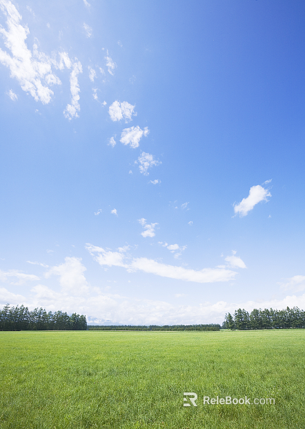 Wild Scenery texture