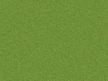 Turf 3d model