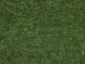 Turf texture (ID:ffabg58391)