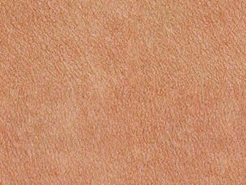 Skin 3d model