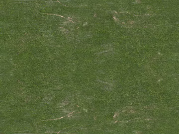 Turf texture (ID:ffaaf3649)
