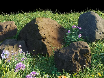 Deep brown rock flowers and plants outdoor landscaping texture (ID:ffaeh493229)