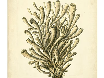 decorative painting texture (ID:ffabg03740)