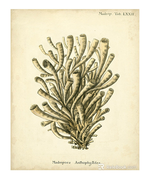 decorative painting texture