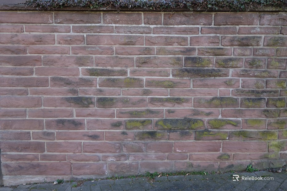 Brick wall texture