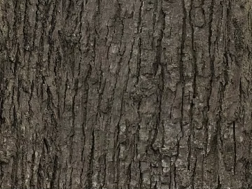 Dark gray brown bark natural finish 3d model