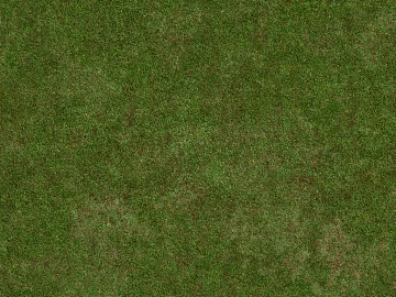 Turf texture (ID:ffagg29371)