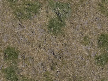 Turf texture (ID:ffajg79702)