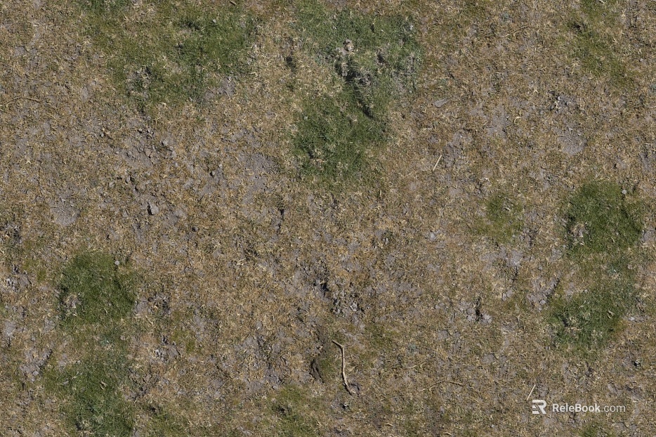 Turf texture