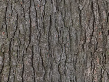 bark texture (ID:ffabg39252)