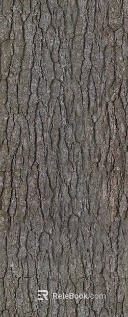 bark texture
