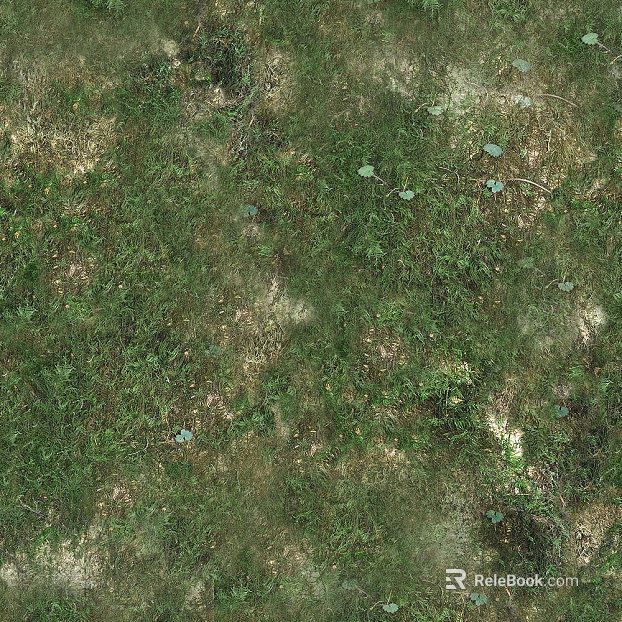 Turf texture