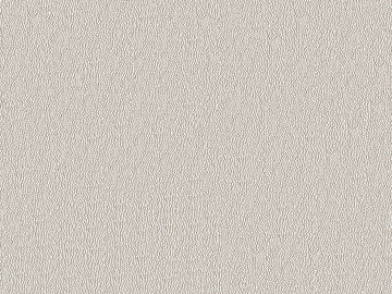 fine grain leather texture (ID:ffaeg15837)