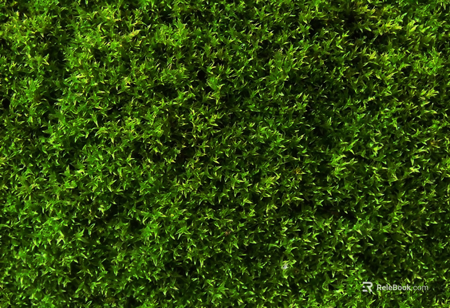 Plant wall texture