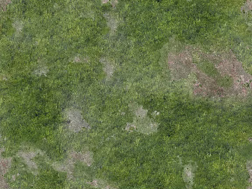 Turf texture (ID:ffabf2716)