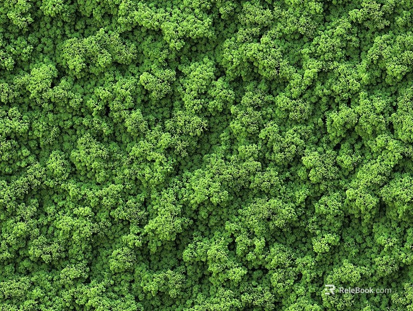 moss texture