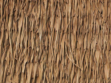 Thatched roof texture (ID:ffajg64991)