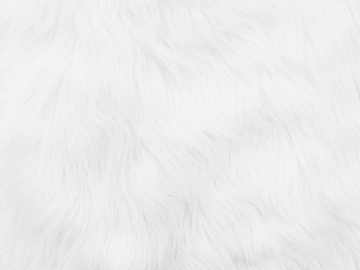 animal fur texture (ID:ffajg10488)