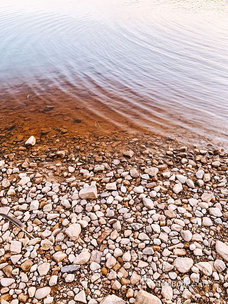 Wild Scenery texture
