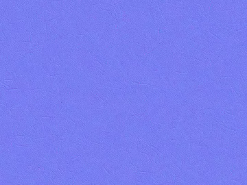 Normal Bump 3d model