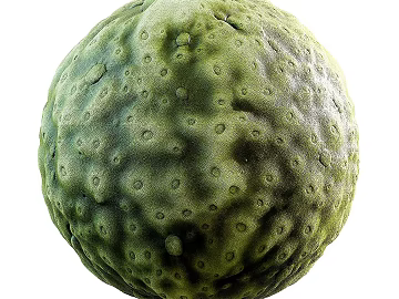 Biological PBR texture (ID:ffach082994)