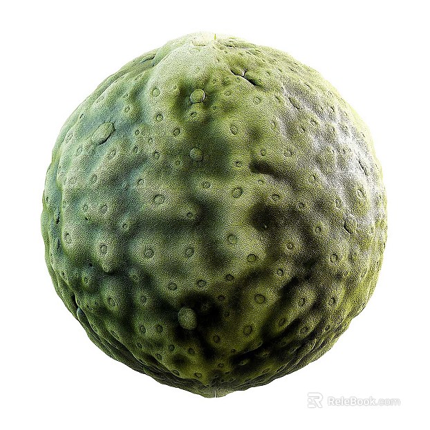 Biological PBR texture