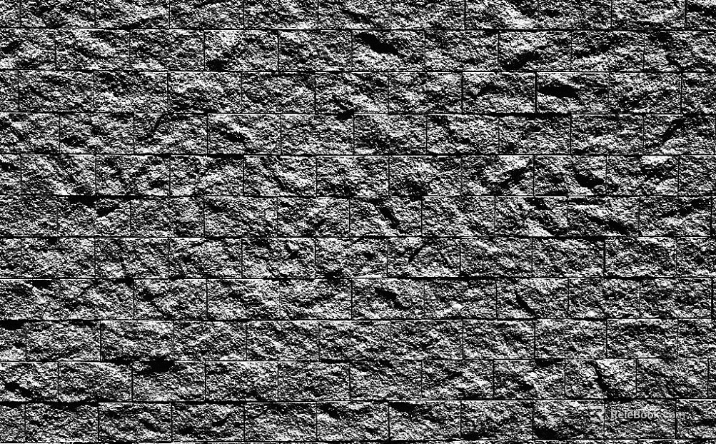 Black and White Bump texture