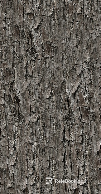 bark texture
