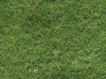 Turf texture (ID:ffabg80100)