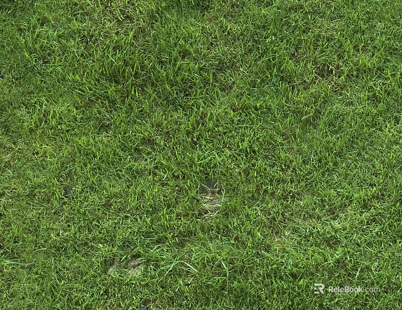 Turf texture