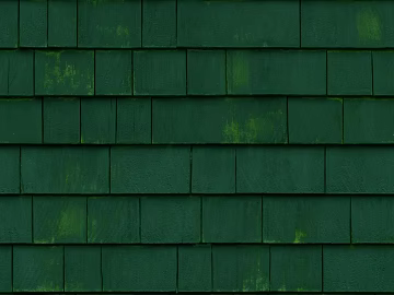 Dark green shingle roof pavement texture (ID:ffaeh096089)
