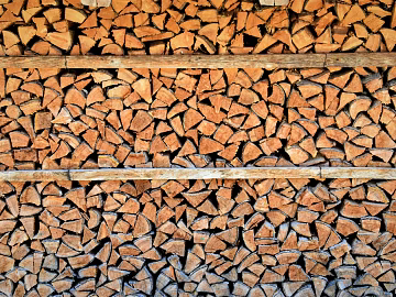 Trunk section texture (ID:ffabg41629)