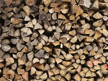 Trunk texture (ID:ffacg42954)