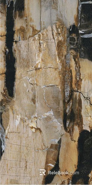 bark texture