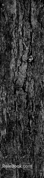 bark texture
