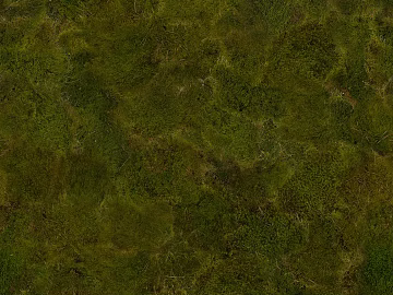 grassland soil wetland ground texture (ID:ffach206716)