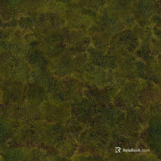 grassland soil wetland ground texture