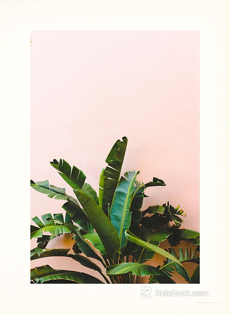 Plant painting texture