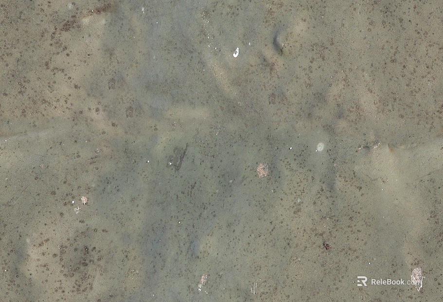 Dongshi texture