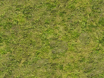 Turf texture (ID:ffach401114)