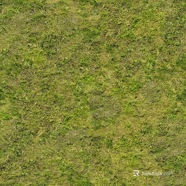 Turf texture
